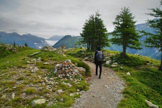 person wearing black leather backpack walking beside green leaf tree by Nicolas Cool courtesy of Unsplash.