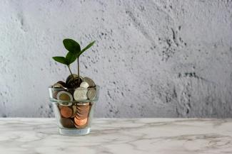 green plant in clear glass cup by micheile henderson courtesy of Unsplash.